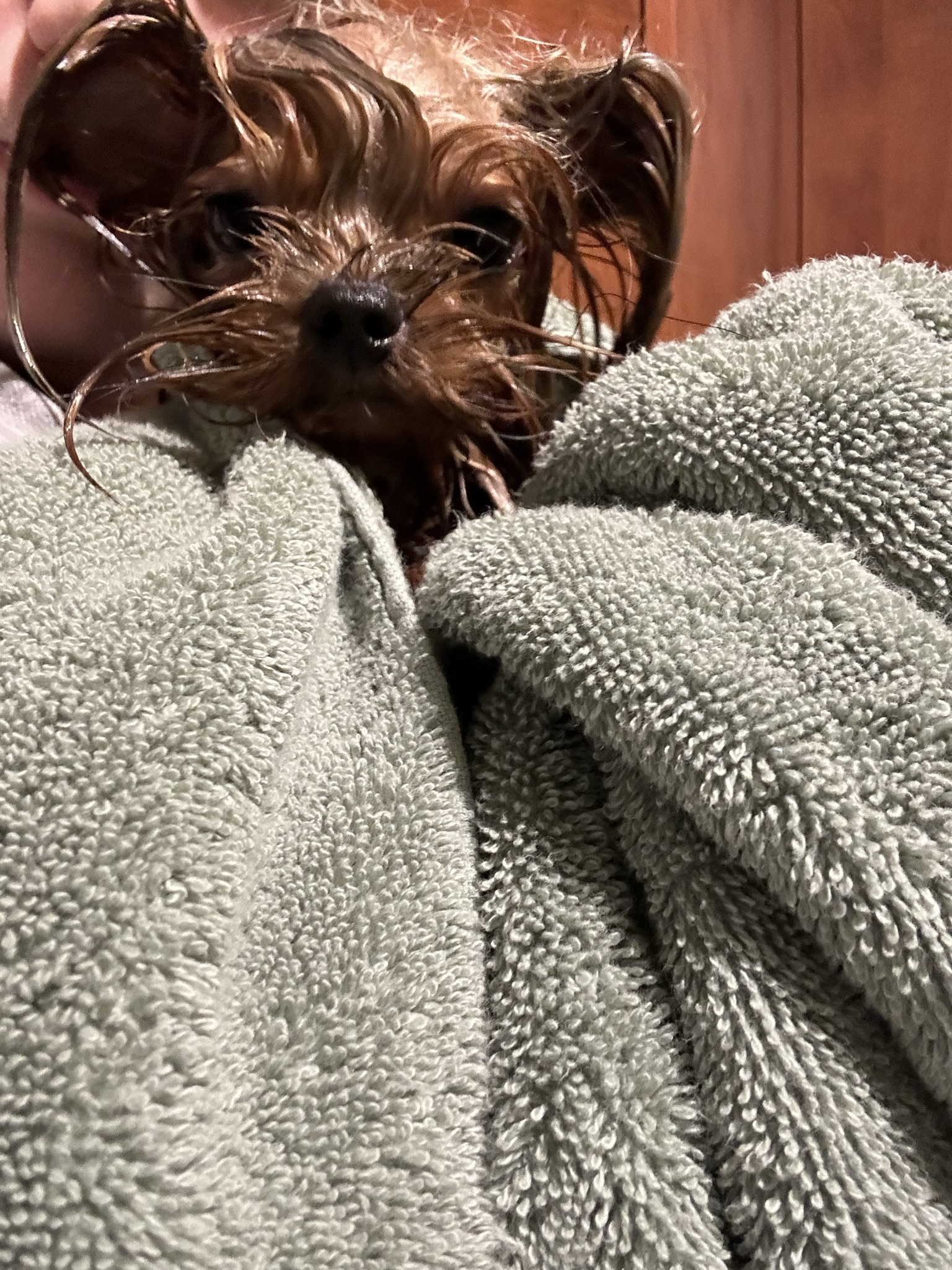 Oh non, c'était l'heure de la douche