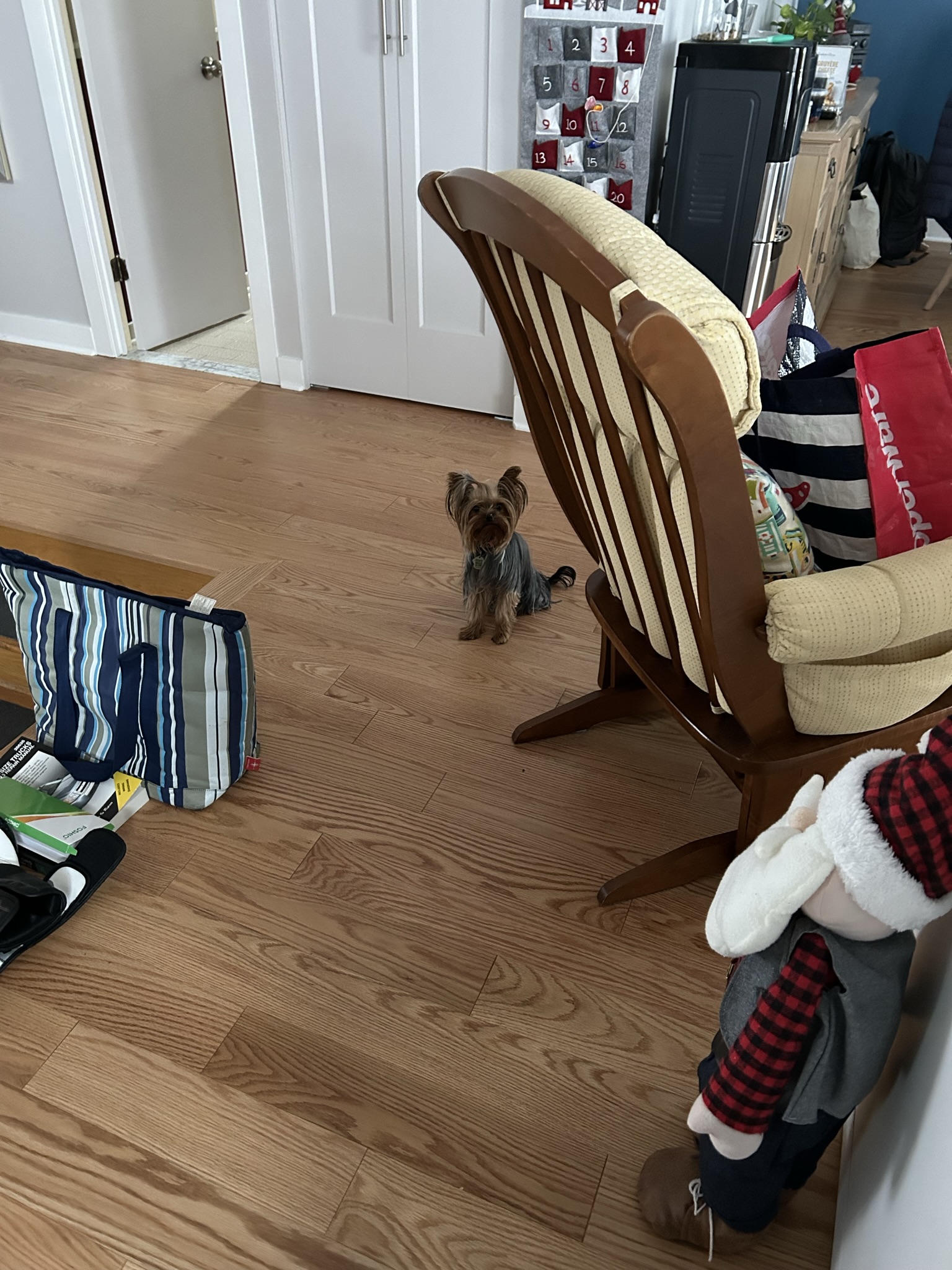 Attention, je surveille