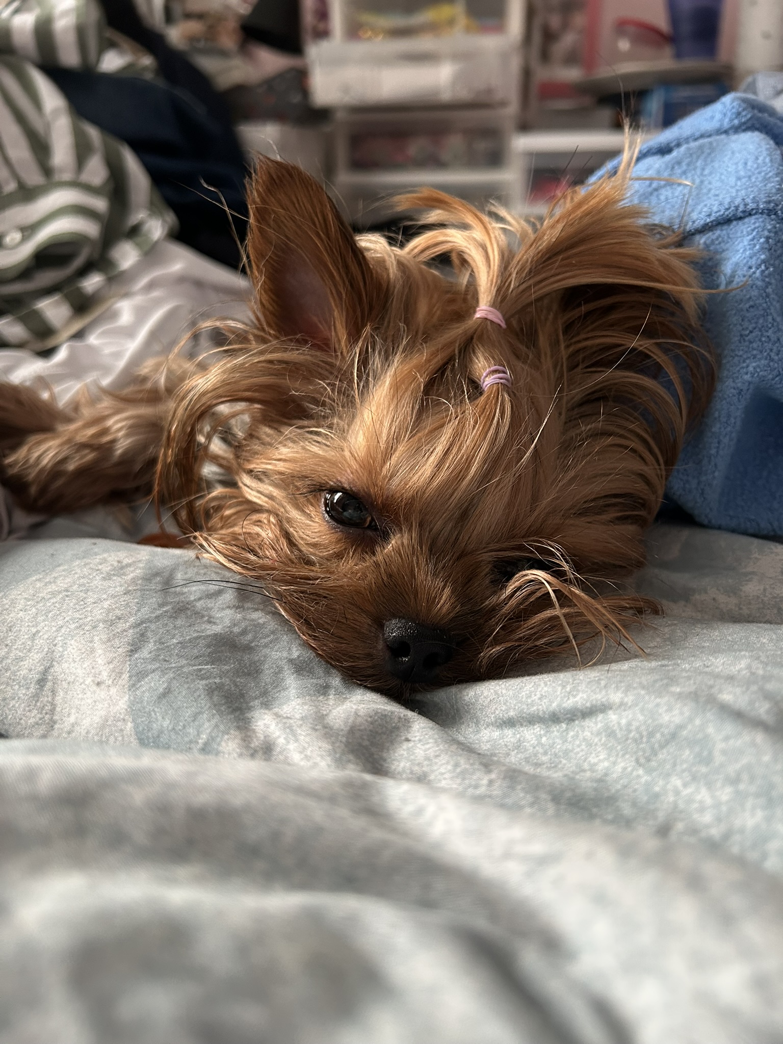 Petits yeux de princesse