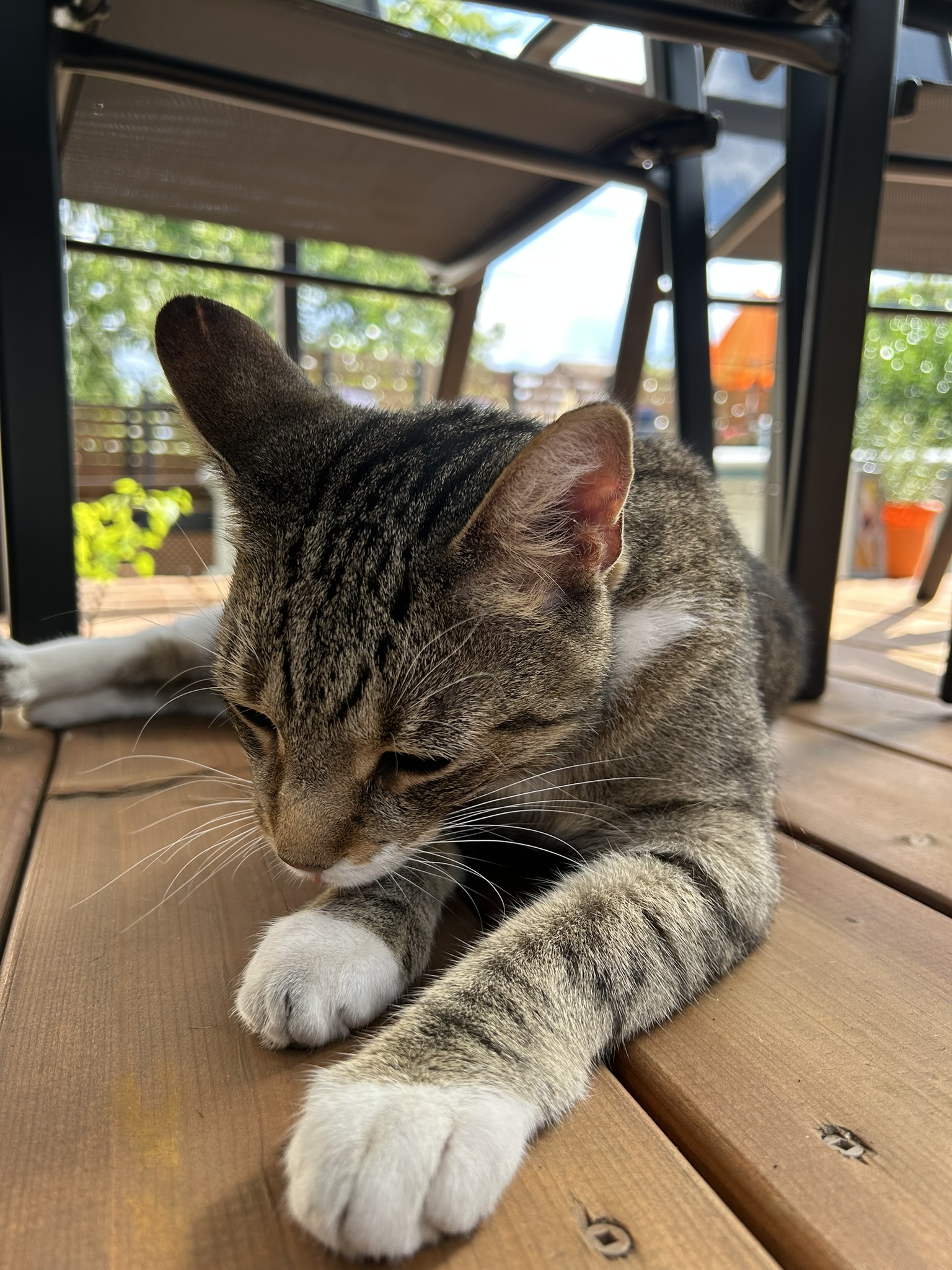 Nettoyage obligatoire