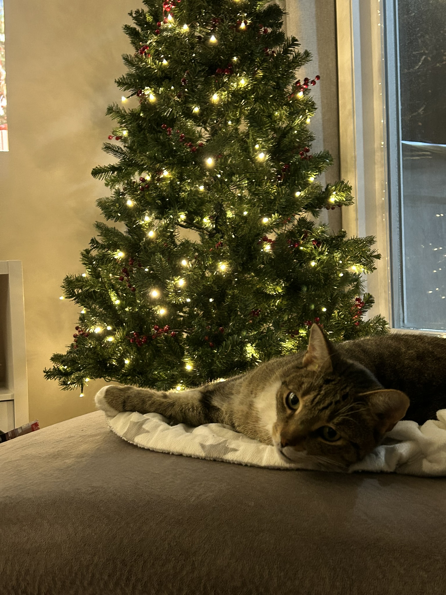 Louis à Noël